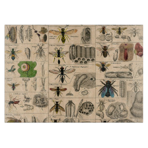Antique Entomology Bees Wasps Natural History Cutting Board