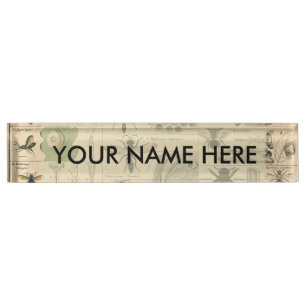 Antique Entomology Bees Wasps Natural History Desk Name Plate