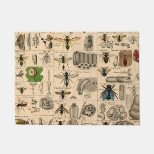 Antique Entomology Bees Wasps Natural History Doormat