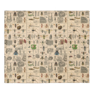 Antique Entomology Bees Wasps Natural History Duvet Cover