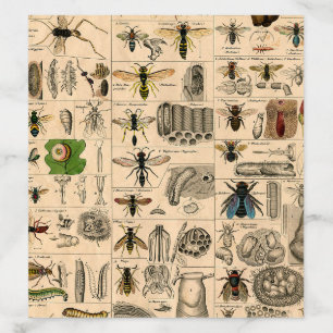 Antique Entomology Bees Wasps Natural History Envelope Liner