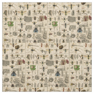 Antique Entomology Bees Wasps Natural History Fabric