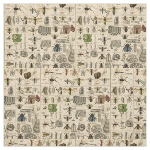 Antique Entomology Bees Wasps Natural History Fabric