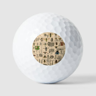 Antique Entomology Bees Wasps Natural History Golf Balls