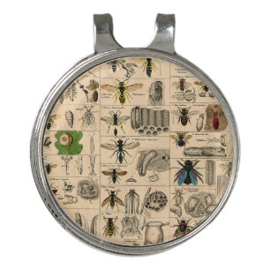 Antique Entomology Bees Wasps Natural History Golf Hat Clip