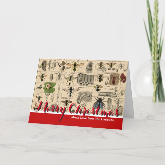 Antique Entomology Bees Wasps Natural History Holiday Card (Front)