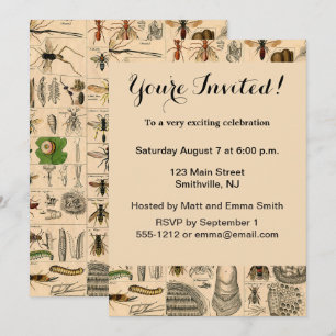 Antique Entomology Bees Wasps Natural History Invitation