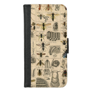 Antique Entomology Bees Wasps Natural History iPhone 8/7 Wallet Case
