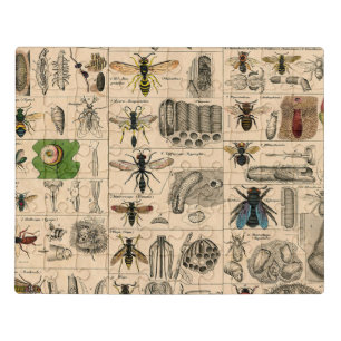 Antique Entomology Bees Wasps Natural History Jigsaw Puzzle