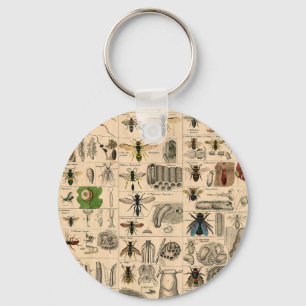 Antique Entomology Bees Wasps Natural History Keychain