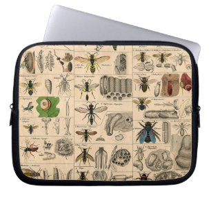 Antique Entomology Bees Wasps Natural History Laptop Sleeve