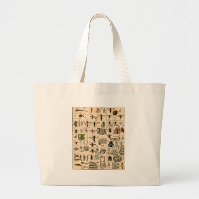 Antique Entomology Bees Wasps Natural History Large Tote Bag (Front)
