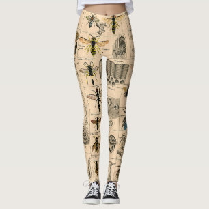 Antique Entomology Bees Wasps Natural History Leggings