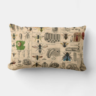 Antique Entomology Bees Wasps Natural History Lumbar Pillow