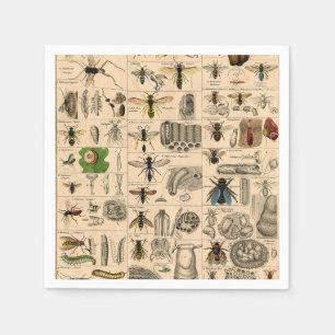 Antique Entomology Bees Wasps Natural History Napkins