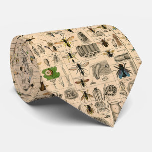 Antique Entomology Bees Wasps Natural History Neck Tie