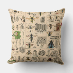 Antique Entomology Bees Wasps Natural History Outdoor Pillow