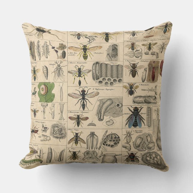 Antique Entomology Bees Wasps Natural History Outdoor Pillow (Front)