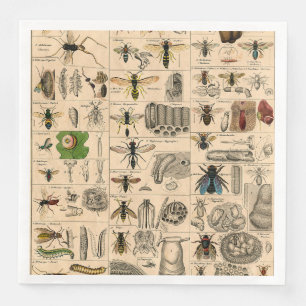 Antique Entomology Bees Wasps Natural History Paper Dinner Napkins