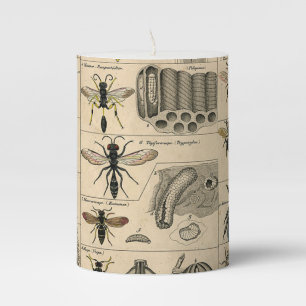 Antique Entomology Bees Wasps Natural History Pillar Candle