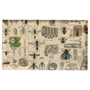 Antique Entomology Bees Wasps Natural History Place Card Holder