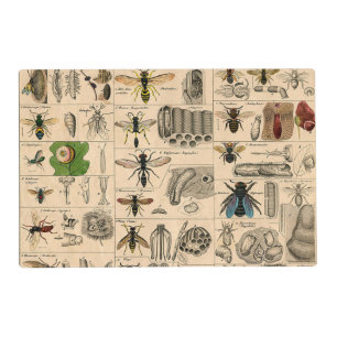 Antique Entomology Bees Wasps Natural History Placemat