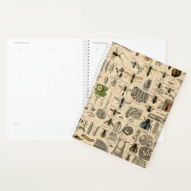 Antique Entomology Bees Wasps Natural History Planner (Display)