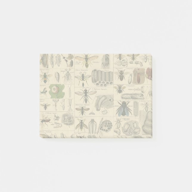 Antique Entomology Bees Wasps Natural History Post-it Notes (Front)