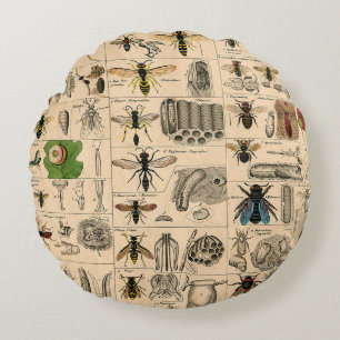 Antique Entomology Bees Wasps Natural History Round Pillow
