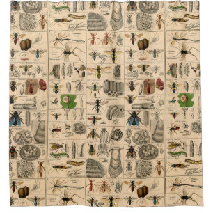 Antique Entomology Bees Wasps Natural History Shower Curtain