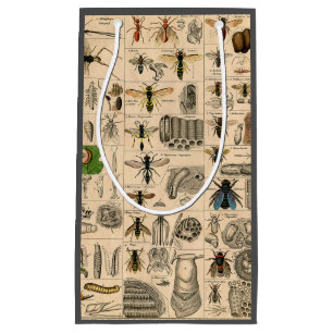 Antique Entomology Bees Wasps Natural History Small Gift Bag