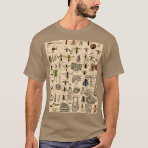 Antique Entomology Bees Wasps Natural History T-Shirt