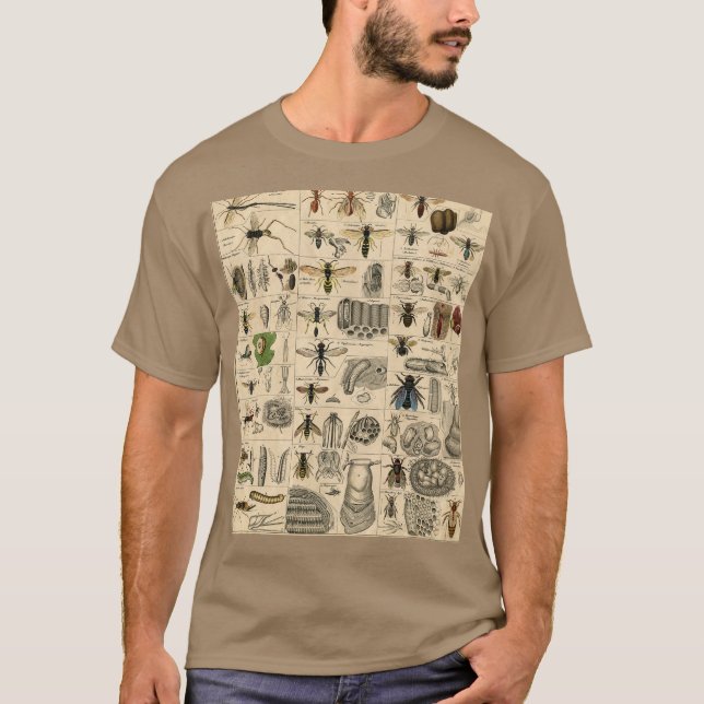 Antique Entomology Bees Wasps Natural History T-Shirt (Front)