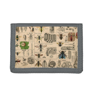 Antique Entomology Bees Wasps Natural History Trifold Wallet