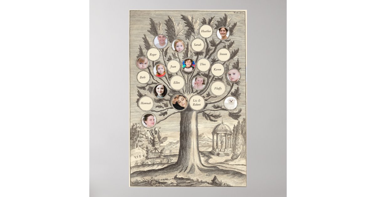 Antique Family Tree Insert Your Own Names & Photos Poster | Zazzle.com
