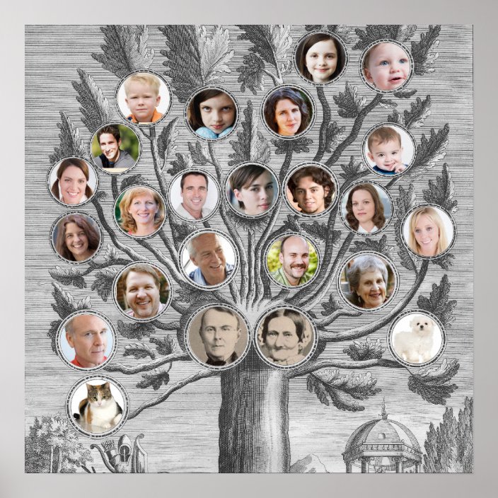 Antique Family Tree Insert Your Own Names & Photos Poster | Zazzle.com