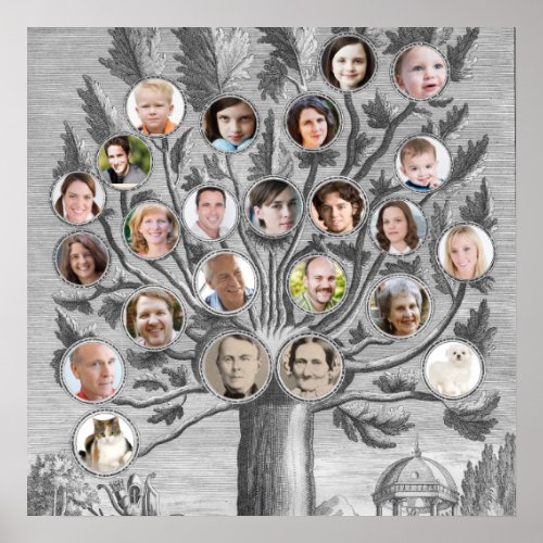 Antique Family Tree Insert Your Own Names  Photos Poster