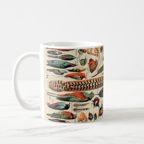 Antique Feather Bird Animal Wild Art  Coffee Mug