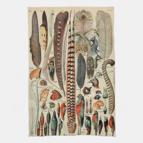 Antique Feather Bird Animal Wild Art Kitchen Towel