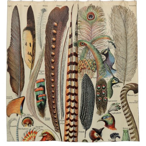 Antique Feather Bird Animal Wild Art Shower Curtain