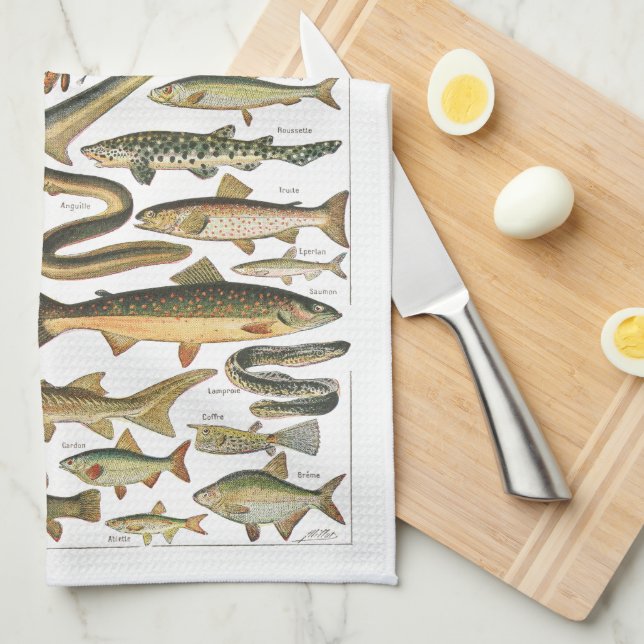 Antique fish chart Under-the-sea Kitchen Towel (Quarter Fold)