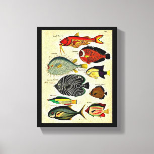 antique fish print