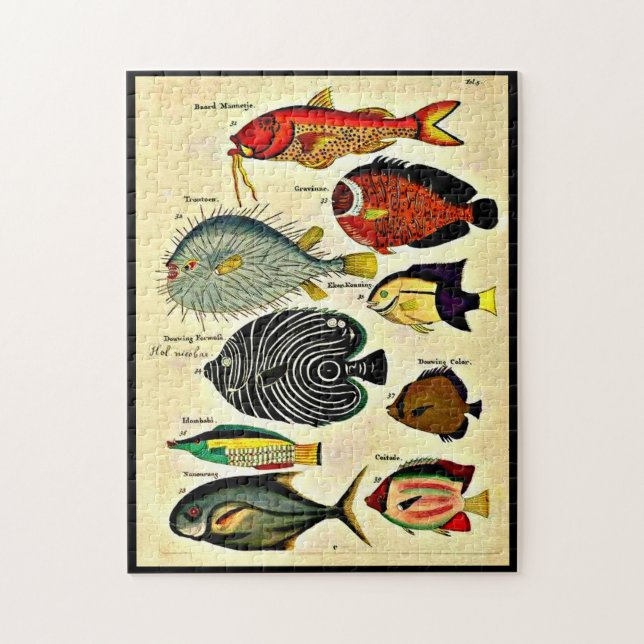  antique fish print jigsaw puzzle (Vertical)