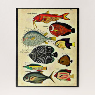  antique fish print jigsaw puzzle