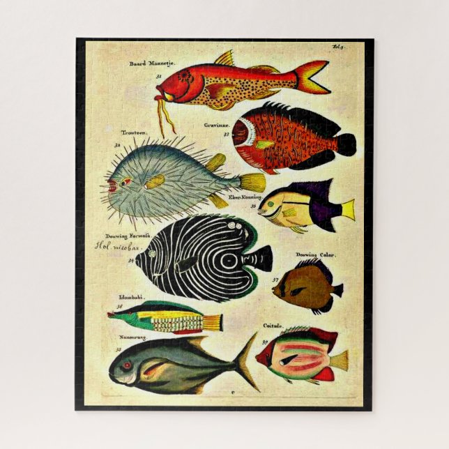  antique fish print jigsaw puzzle (Vertical)