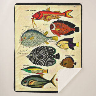  antique fish print sherpa blanket