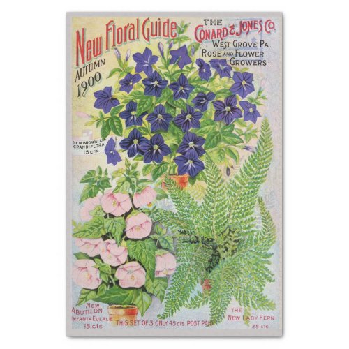 Antique Flower Catalog Floral Tissue Paper