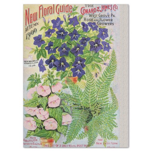 Antique Flower Catalog Tissue Paper 17x23