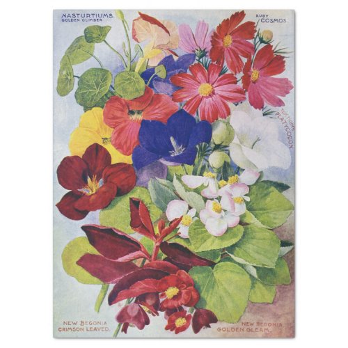 Antique Flower Seed Catalog Tissue Paper 17x23