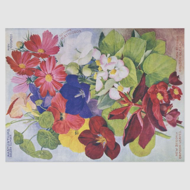 Antique Flower Seed Catalog Tissue Paper 17x23 (Front)